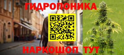 прущие крисы Будённовск