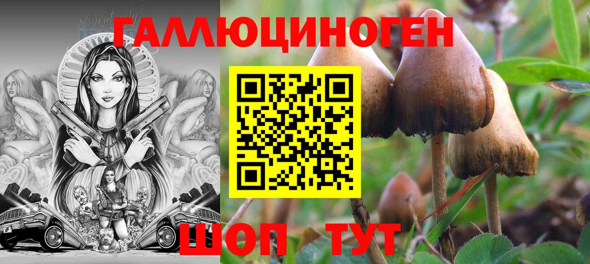 Псилоцибиновые грибы Psilocybe Лыткарино