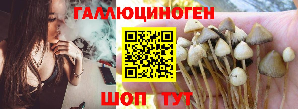 Псилоцибиновые грибы мицелий  Вход с VPN  Лыткарино 
